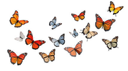 Colorful butterflies flying on transparent background