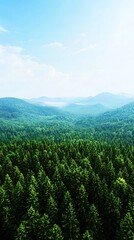 Obraz premium Mountain Forest Aerial View.