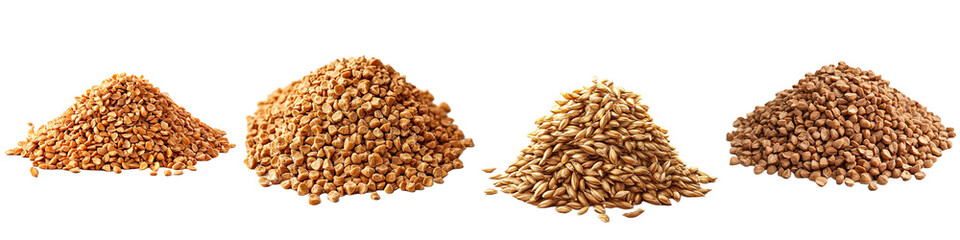 Fototapeta premium Collection of Four Different Types of Grains Buckwheat Barley and Wheat Grains isolated Transparent Background
