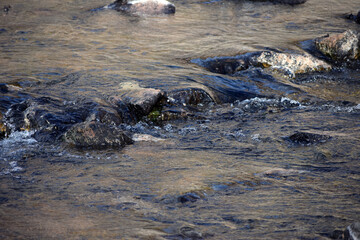 Rio Chama river flowing over rocks in New Mexico