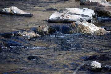 Rio Chama river flowing over rocks in New Mexico