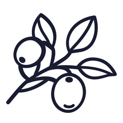 A simple line drawing of an olive branch with leaves and olives.