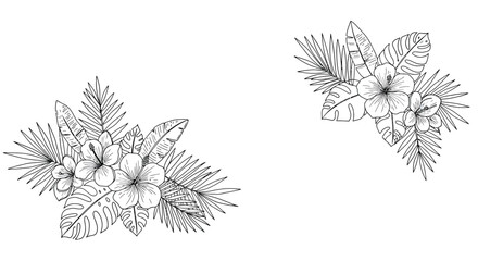 Floral arrangement transition in minimal line art style vector illustration