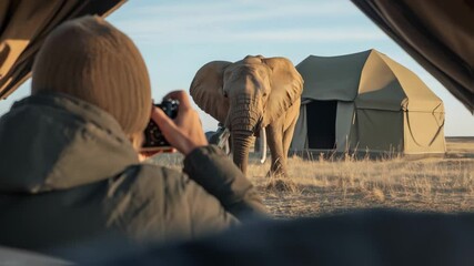 Safari photographer capturing wild elephant from luxury tent accommodation, wildlife conservation documentary adventure concept with professional camera equipment