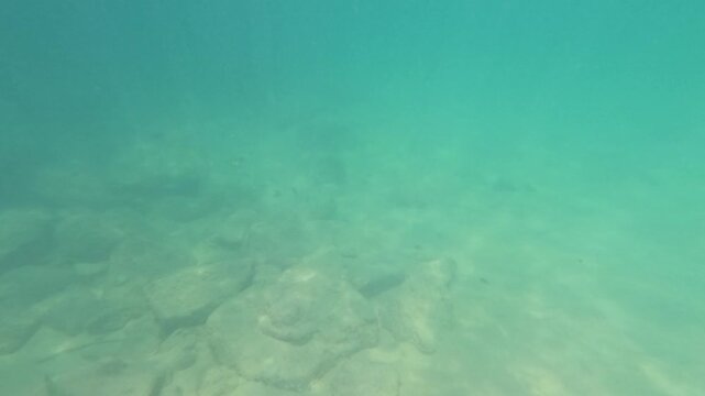 Underwater Exploration at Laem Singh Beach, Phuket