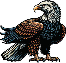 eagle vector ilustration on transparant background.Hand Drawn Illustration of Pierce American Eagle .png