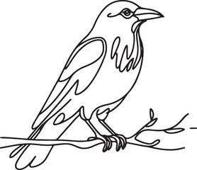 Elegant Line Art of Crow Sitting on Branch