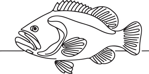 Grouper Fish Line Drawing Tutorial for Beginners