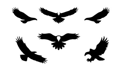 Obraz premium a vector set of flying eagle