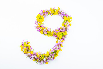 Letter g made of flowers on white background