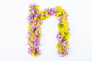 Letter n made of flowers on white background