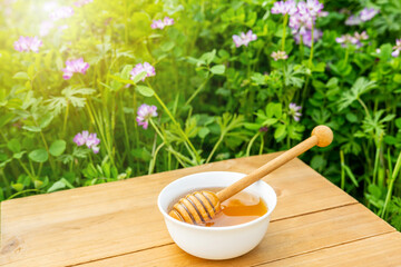 Springtime Milkvetch Flowers and Milkvetch Honey