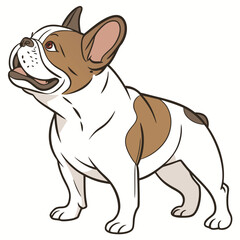 French Bulldog Vector Illustration