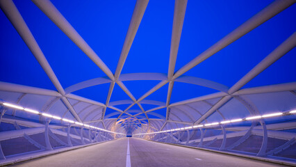 Portlandsebrug in Rotterdam
