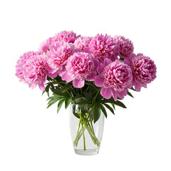 Fototapeta premium Pink Peonies Bouquet on Transparent background