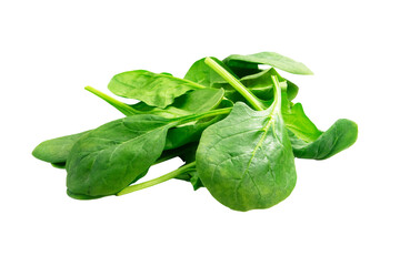 Zielony, świeży szpinak bez tła. Na białym tle