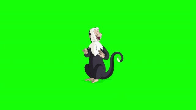 Cartoon Monkey on Green Screen Background. 2D animation 4K