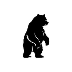 Bear Silhouette Vector