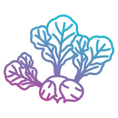 radish icon