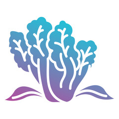 lettuce icon