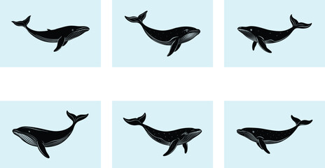 Obraz premium Humpback Whale Silhouette vector