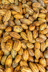 Cocoa beans and cocoa pod on a wooden surface.