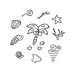 Vector illustration of the sea: shells, seaweed, palm trees, waves