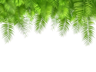 Illustration of Lush Green Tropical Leaves Foliage Transparent Background a Natural Floral Pattern Design of Jungle Botanical Plants Exotic Palm Tree Branches