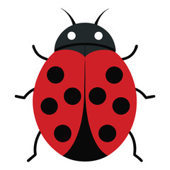 vector illustration of a ladybug