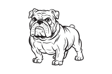 Bulldog Silhouette Vector