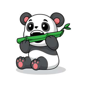 Cute baby panda eating bamboo