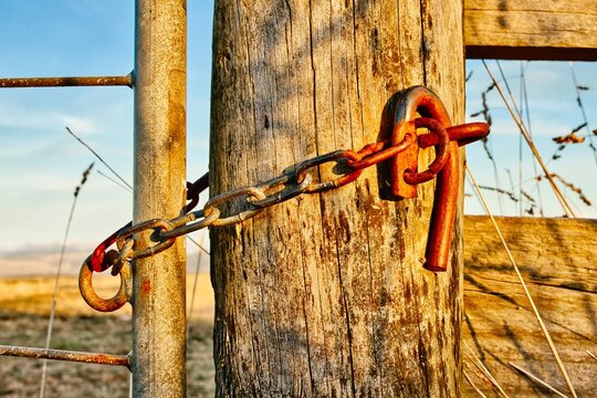Steel gate hook latch with a linked chain.