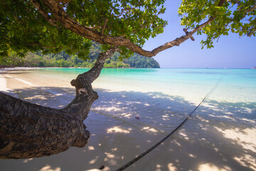 Obraz premium Surin Islands National Park (Moo Koh Surin) one of the most beautiful tourist and snorkeling destinations in Thailand. Enjoy crystal clear water and famous white sand beaches. Located in Phang Nga 