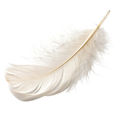 Obraz premium White Feather Isolated on White Background as Transparent. PNG. AI GENERATED