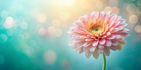 Fototapeta premium Minimalist Floral Design Wallpaper: Elegant Botanical Backgrounds