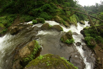 waterfall in the forest