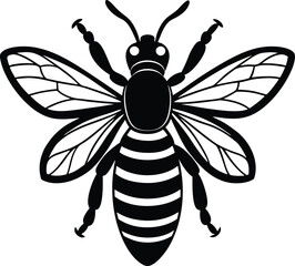 Bee honey bee isolated on a white background
