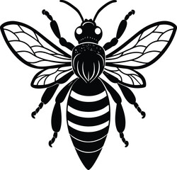 Bee honey bee isolated on a white background
