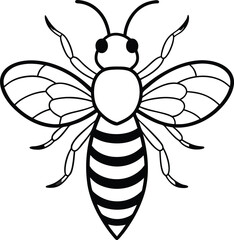 Bee honey bee isolated on a white background
