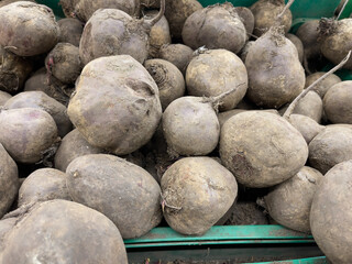 Beetroots in the market, close-up, selective focus