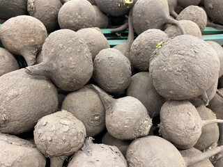 Black radish at the market, close-up, selective focus