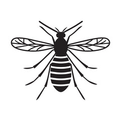 Fototapeta premium Malaria mosquito vector 