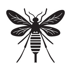Malaria mosquito vector 