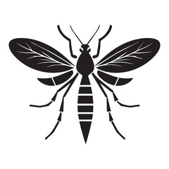 Malaria mosquito vector 