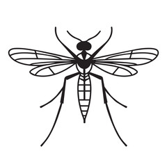 Malaria mosquito vector 