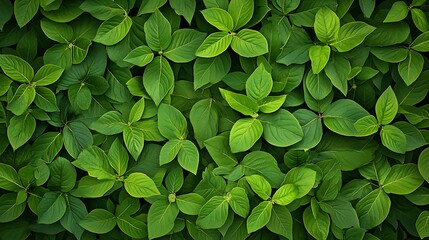 Lush Green Leaves: A Vibrant Springtime Foliage Texture AI Generated
