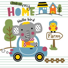 Elephant driving a car with 