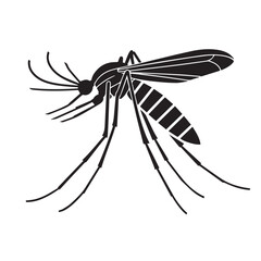 Malaria mosquito vector 