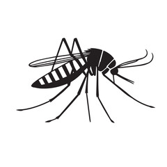 Malaria mosquito vector 