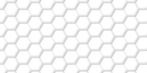 Abstract white Hexagonal Background. Luxury White Pattern. Vector Illustration. 3D Futuristic minimal honeycomb mosaic white background. geometric mesh cell texture. modern futuristic wallpaper.